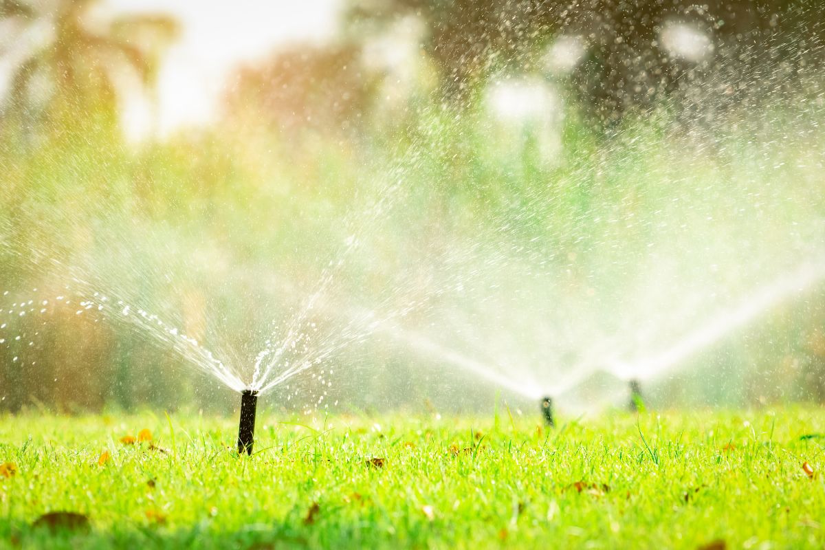 Austin Irrigation Specialists Install Drip Irrigation