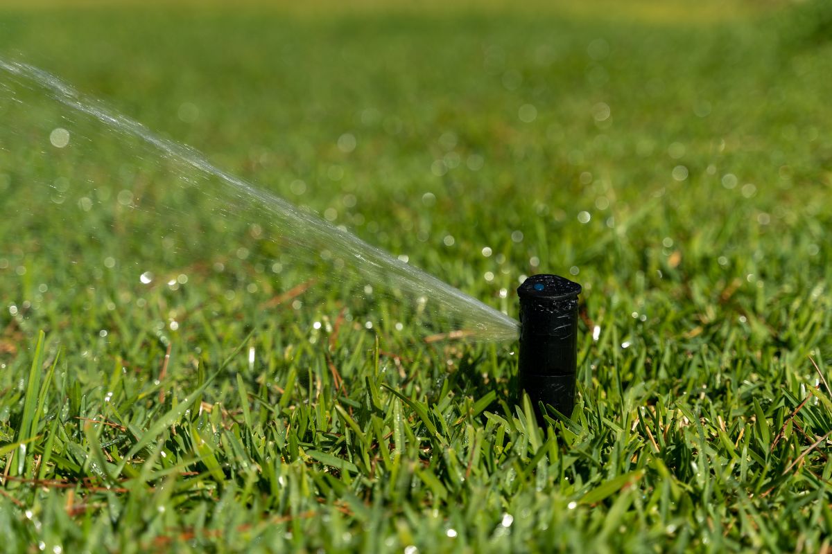 Austin Irrigation Specialists Locate Sprinkler Valves